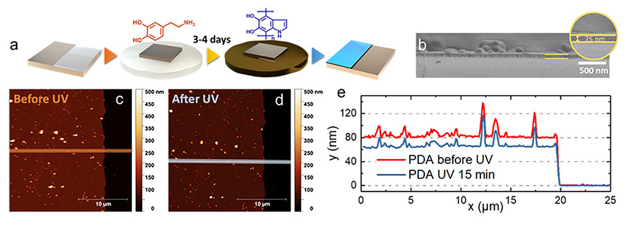 Study shows refractive index and light absorption of melanin thin films increase after intense UV radiation exposure.