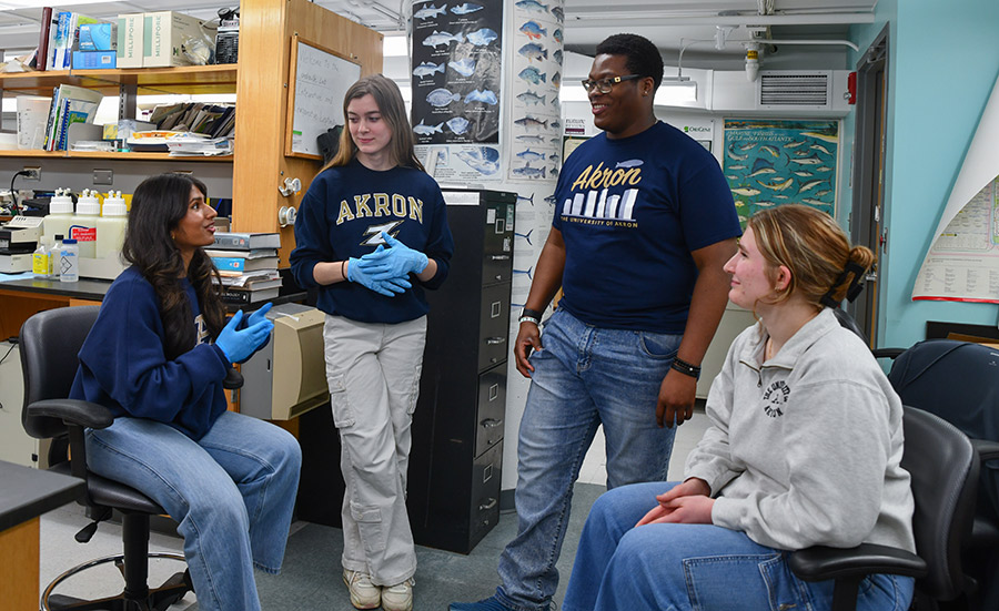 Biology students in a lab at The University of Akron